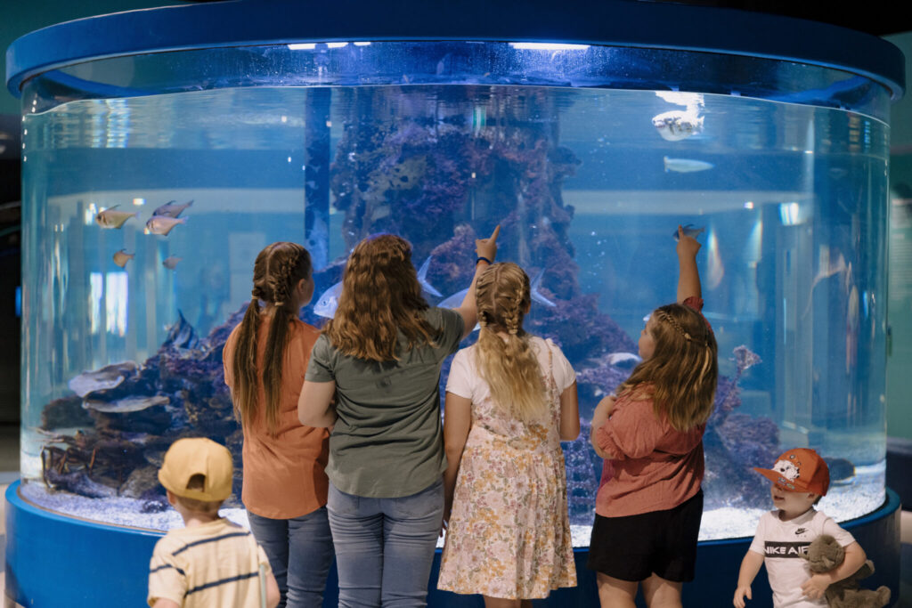 Tourists enjoying the aquatic life at the Dolphin Discovery Centre
