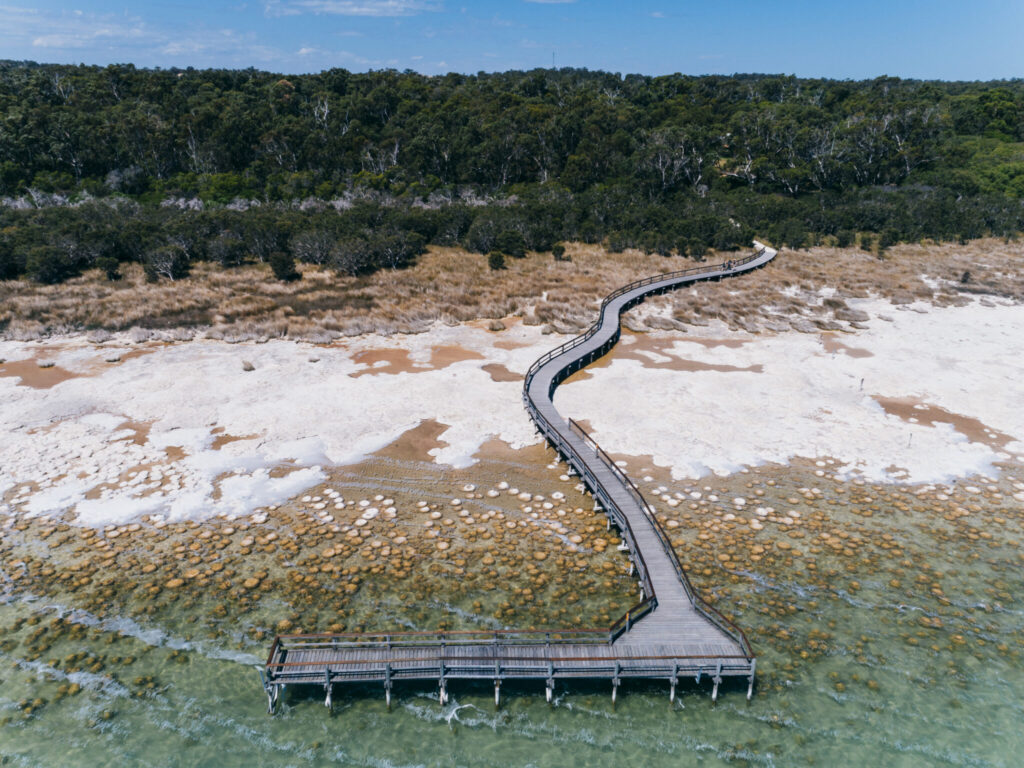 Photo of Living rock-like structures known as thrombolites have formed on the edges of Lake Clifton, and can be viewed from a boardwalk, near Mandurah